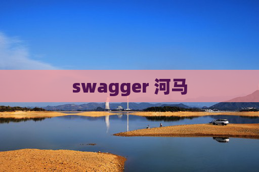 swagger 河马